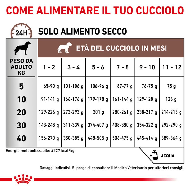 Royal Canin Puppy Gastrointestinal Canine Veterinary Mousse umido per cani 24x195gr Royal Canin Puppy Gastrointestinal Canine Veterinary Mousse umido per cani 24x195gr